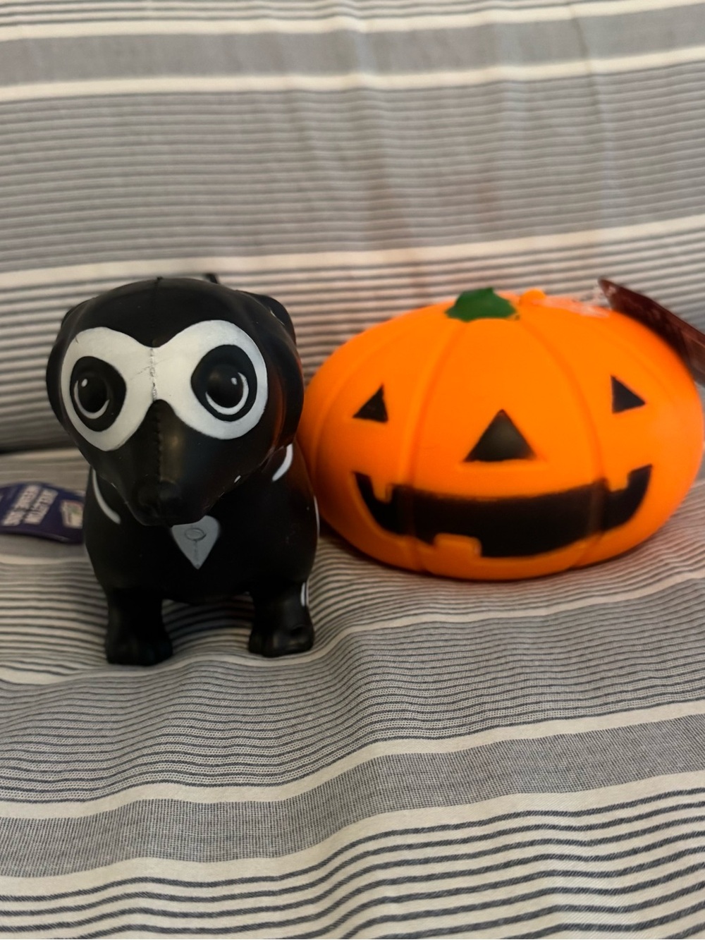 Black Halloween Dachshund squishy and pumpkin squishy toy